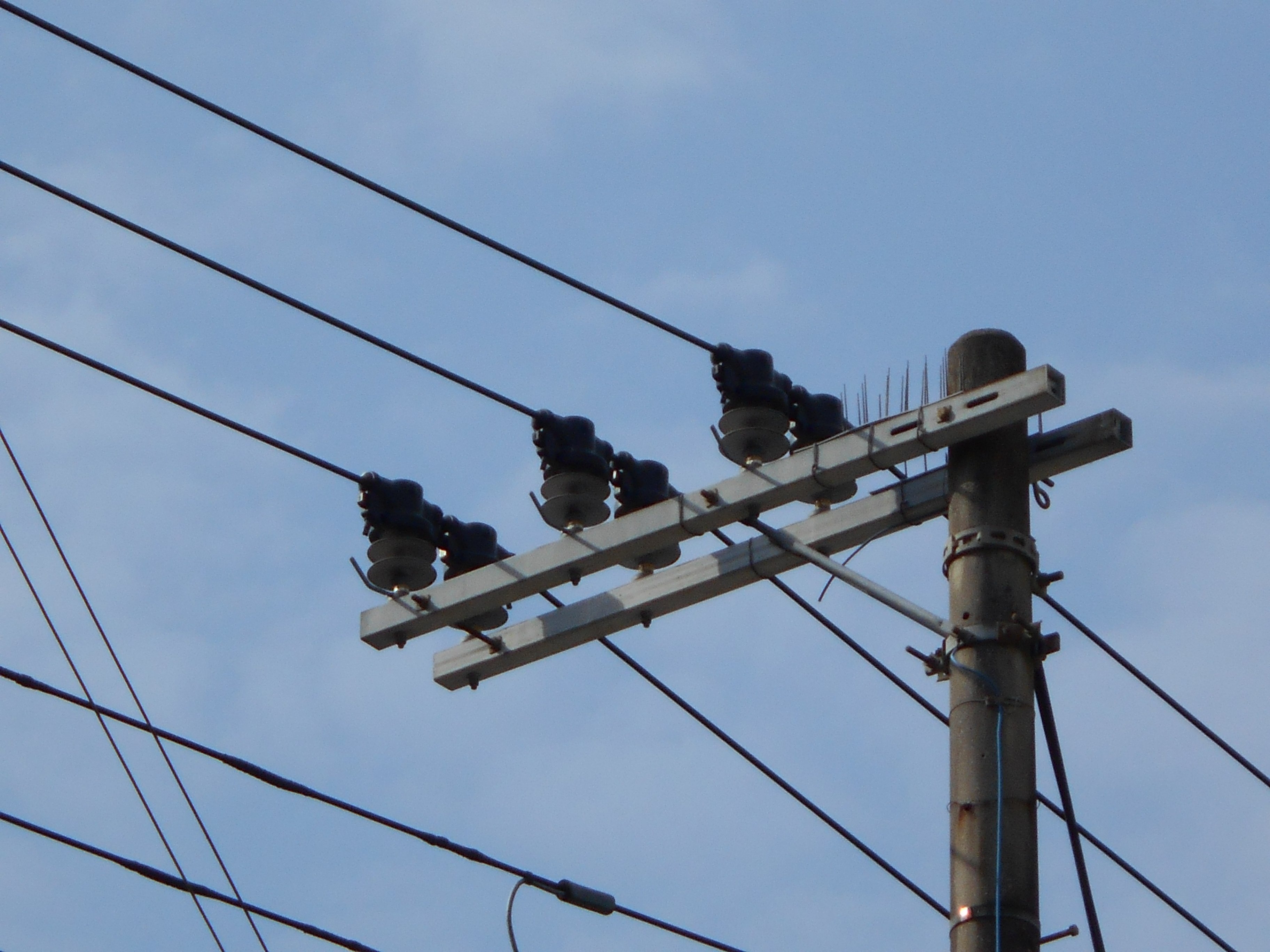 配電用ポリマーがいし