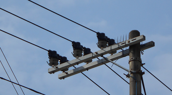 電力用配電がいし